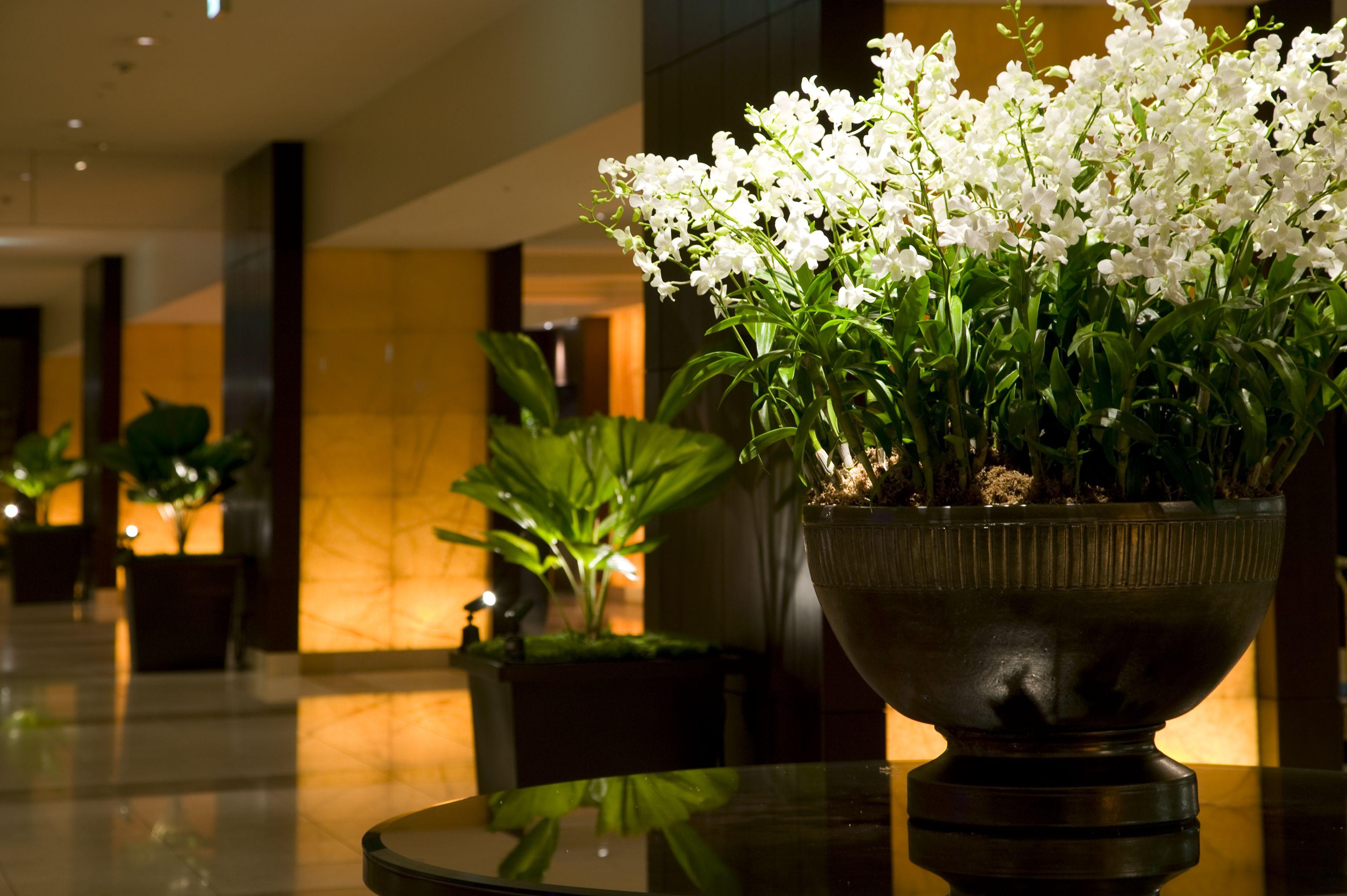 Sheraton Miyako Hotel Osaka Exterior foto
